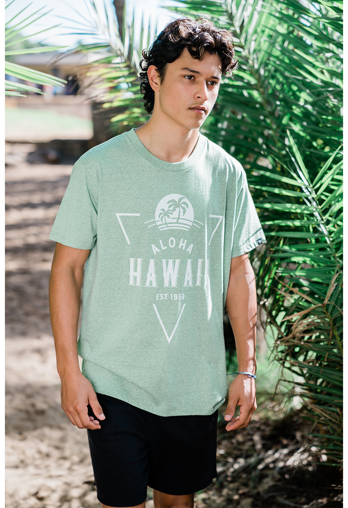 トップス aloha.gmtdp Tri-Blend Short Sleeve T-Shirt: Tropical Palms – Aloha Ave Store