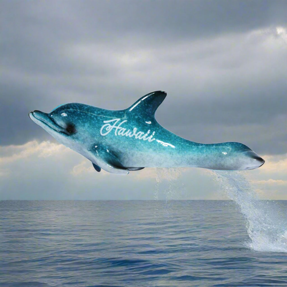 RESIN MAGNET: Dolphin-Hawaii