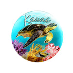 Magnet: KAUAI COASTER - TURTLES [6PCS Set]