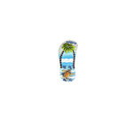 Resin Magnet: One Slipper Design-Hawaii