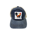 CAP: Kauai Rooster
