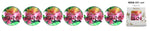 Magnet: HAWAII COASTER - HIBISCUS [6PCS Set]