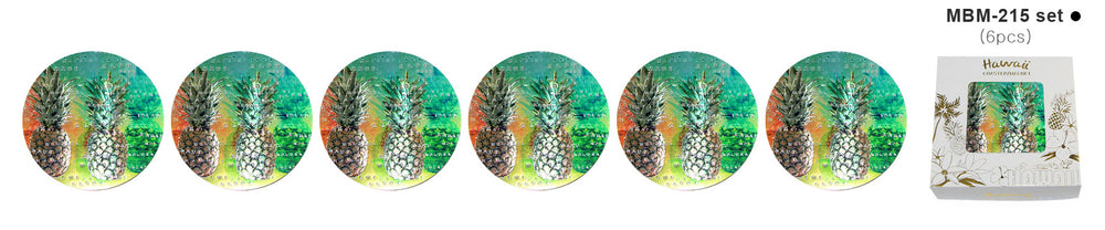 Magnet: HAWAII COASTER - PINEAPPLE ISLAND [6PCS Set]