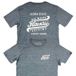 Tri-Blend Short Sleeve T-Shirt: Big Waves