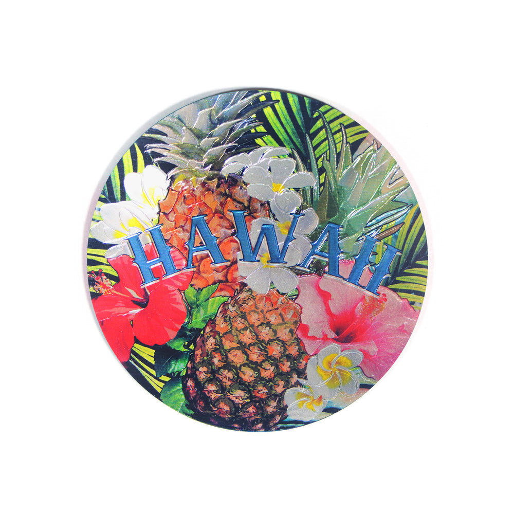 Magnet: HAWAII COASTER - PINEAPPLE [6PCS Set]