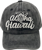 CAP: KIDS Honu Aloha Logo