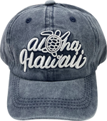 CAP: KIDS Honu Aloha Logo