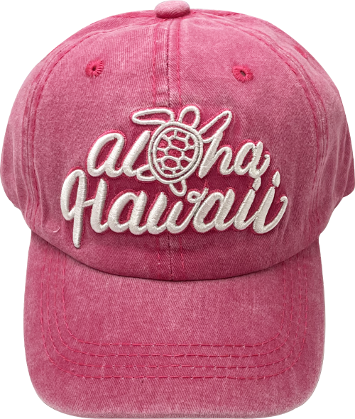 CAP: KIDS Honu Aloha Logo