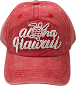 CAP: KIDS Honu Aloha Logo