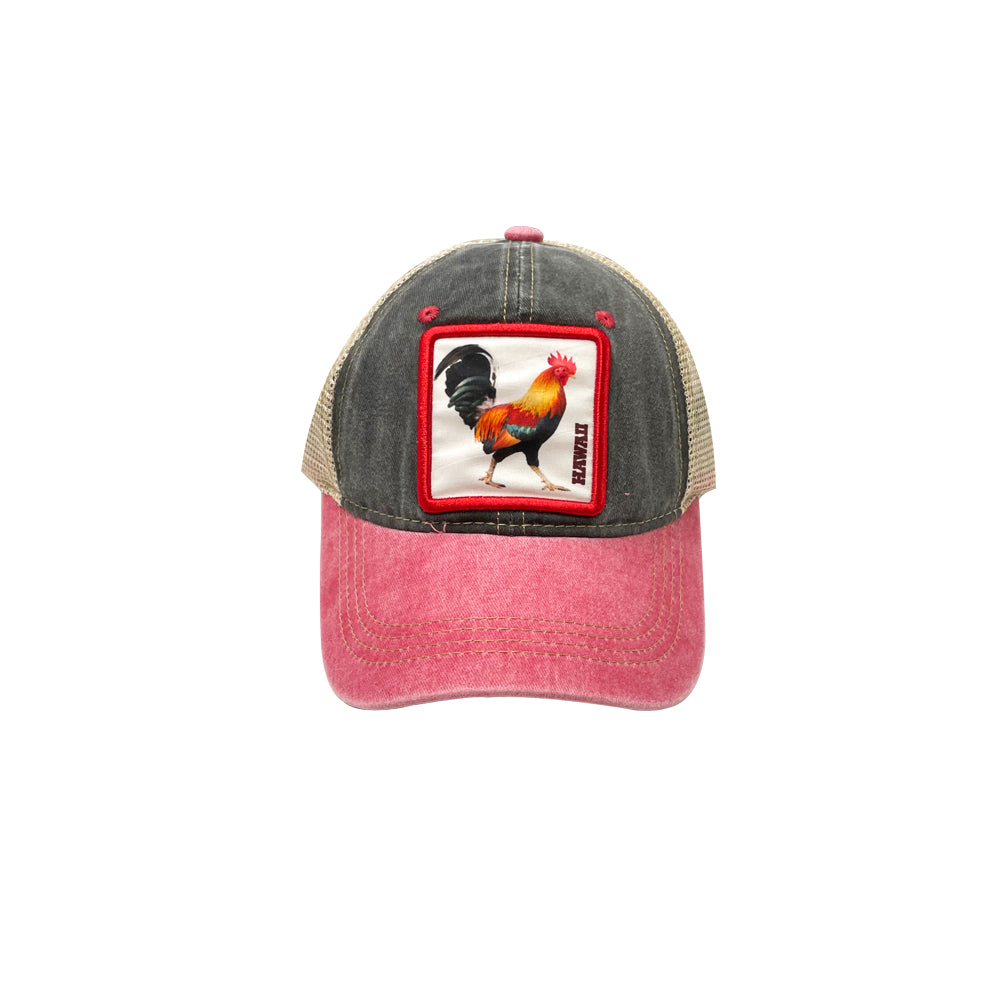CAP: Hawaii Rooster