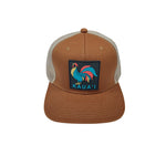 CAP: Kauai Tri-Color Rooster