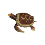 Jewelry Box: Turtle Jewelry Box-Large Jumbo