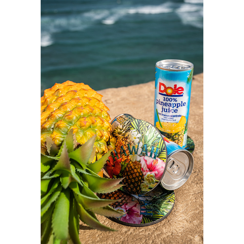 Magnet: HAWAII COASTER - PINEAPPLE [6PCS Set]