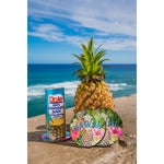 Magnet: HAWAII COASTER - PINEAPPLE [6PCS Set]