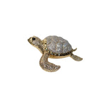 Jewelry Box: Turtle Jewelry Box-Medium Jumbo