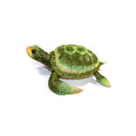 Jewelry Box: Turtle Jewelry Box-Large Jumbo