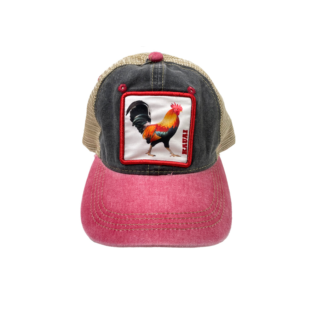 CAP: Kauai Rooster
