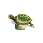 Jewelry Box: Turtle Jewelry Box-Large Jumbo