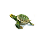 Jewelry Box -  X-Large Crystal Honu