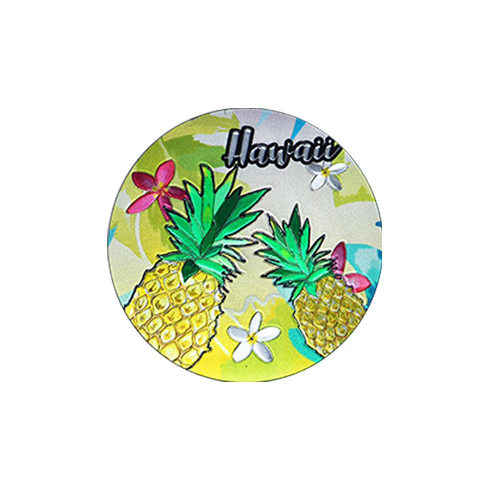 Magnet: HAWAII COASTER - PINEAPPLE HAWAII [6PCS Set]