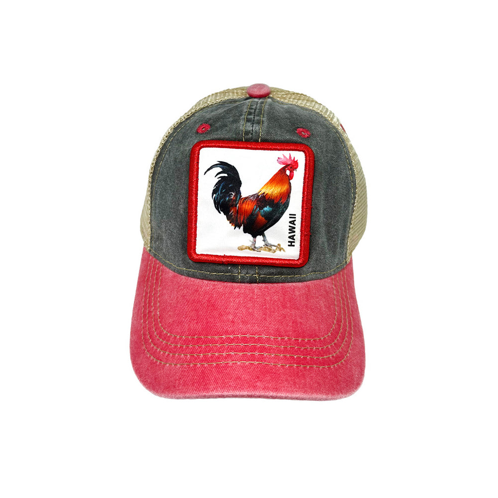 CAP: KIDS Hawaii Rooster