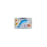 Resin Magnet: Dolphin Hawaii