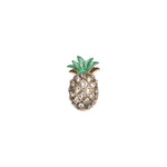 Clip Pineapple